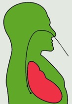 Читать статью полностью Чреспищеводная электрокардиостимуляция при СССУ