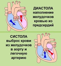Читать статью полностью Cистолическая и диастолическая сердечная недостаточность