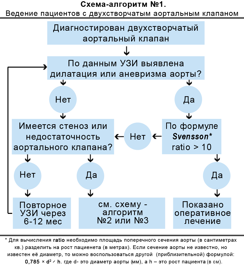 двухстворчатый аортальный клапан с развитием недостаточности в пределах 1 степени